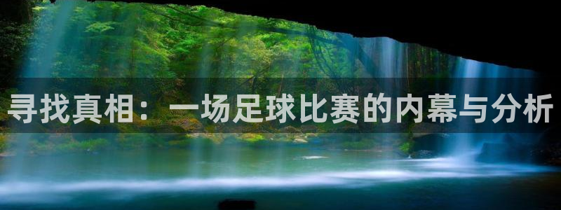 寻找真相：一场足球比赛的内幕与分析