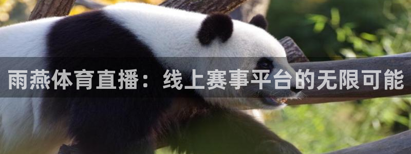 雨燕体育直播：线上赛事平台的无限可能