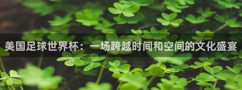 美国足球世界杯：一场跨越时间和空间的文化盛宴