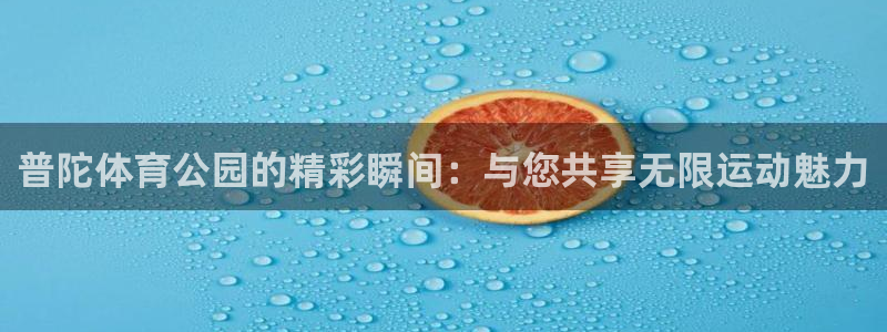 普陀体育公园的精彩瞬间：与您共享无限运动魅力