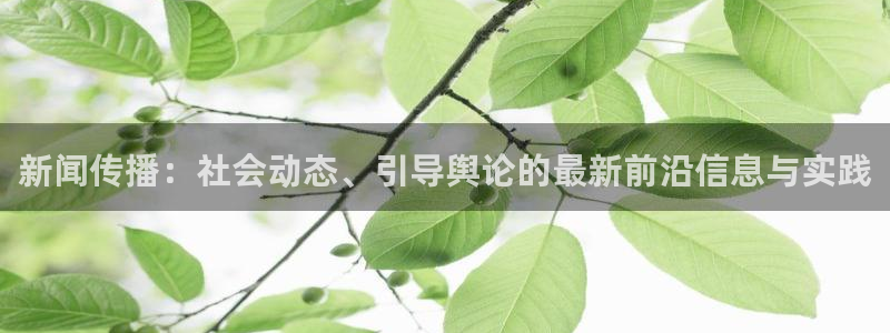 新闻传播：社会动态、引导舆论的最新前沿信息与实践