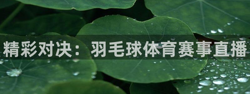 精彩对决：羽毛球体育赛事直播