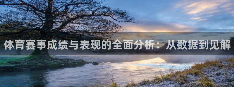 体育赛事成绩与表现的全面分析：从数据到见解