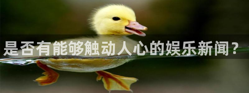 是否有能够触动人心的娱乐新闻？