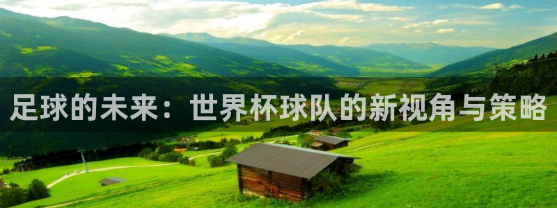 足球的未来：世界杯球队的新视角与策略