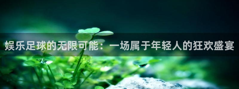 娱乐足球的无限可能：一场属于年轻人的狂欢盛宴