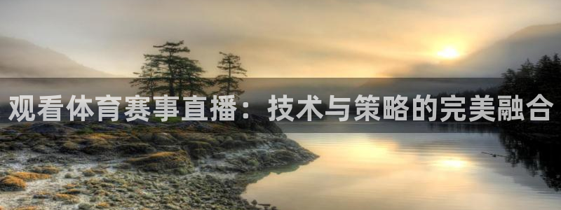 观看体育赛事直播：技术与策略的完美融合