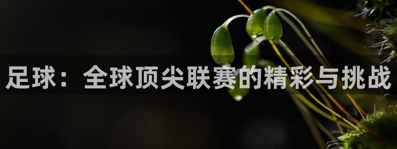足球：全球顶尖联赛的精彩与挑战