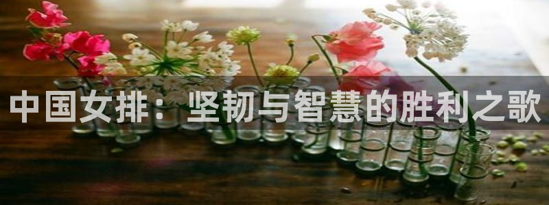 中国女排：坚韧与智慧的胜利之歌