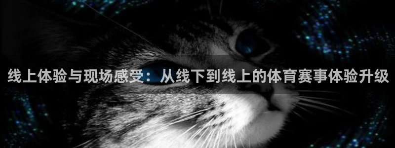 线上体验与现场感受：从线下到线上的体育赛事体验升级