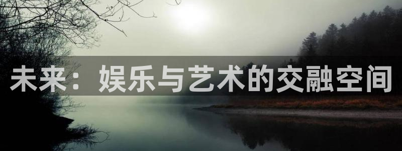 未来：娱乐与艺术的交融空间