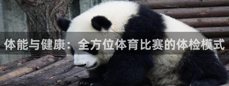 体能与健康：全方位体育比赛的体检模式