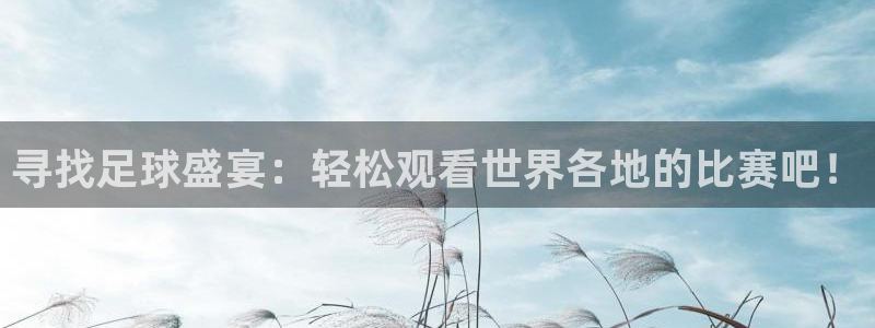 寻找足球盛宴：轻松观看世界各地的比赛吧！