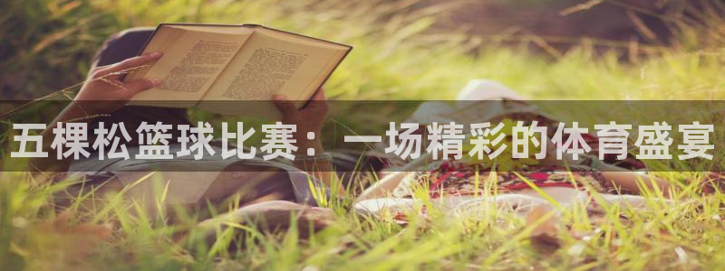 五棵松篮球比赛：一场精彩的体育盛宴