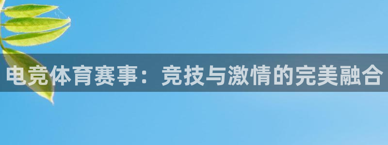 电竞体育赛事：竞技与激情的完美融合