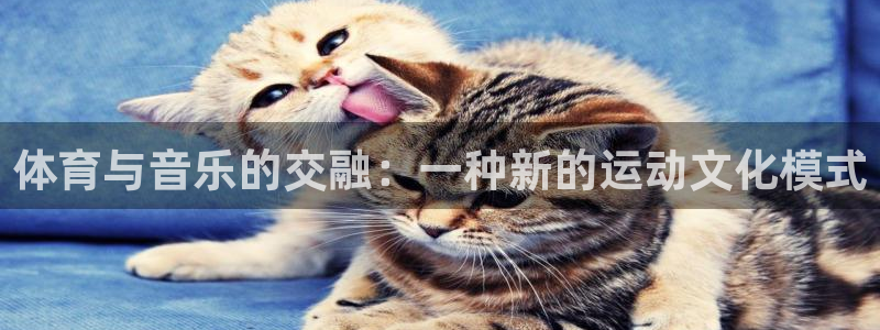 体育与音乐的交融：一种新的运动文化模式