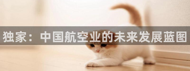 独家：中国航空业的未来发展蓝图