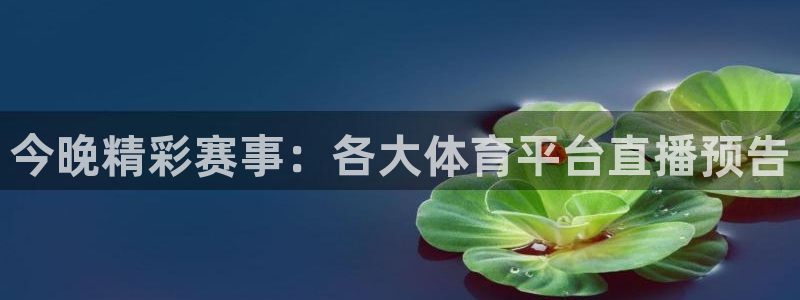今晚精彩赛事：各大体育平台直播预告