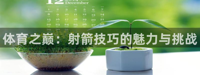 体育之巅：射箭技巧的魅力与挑战